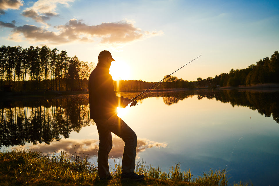 Mastering Fall Bass Fishing: Tips and Tactics